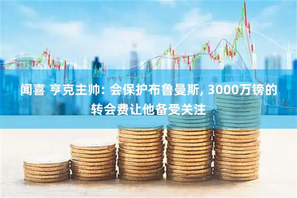 闻喜 亨克主帅: 会保护布鲁曼斯, 3000万镑的转会费让他备受关注