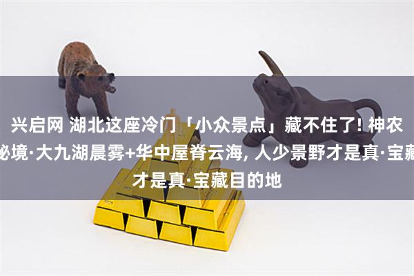 兴启网 湖北这座冷门「小众景点」藏不住了! 神农架初秋秘境·大九湖晨雾+华中屋脊云海, 人少景野才是真·宝藏目的地