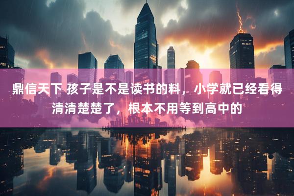 鼎信天下 孩子是不是读书的料，小学就已经看得清清楚楚了，根本不用等到高中的